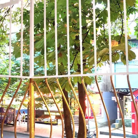 Disney's Slumber Party * Tirana