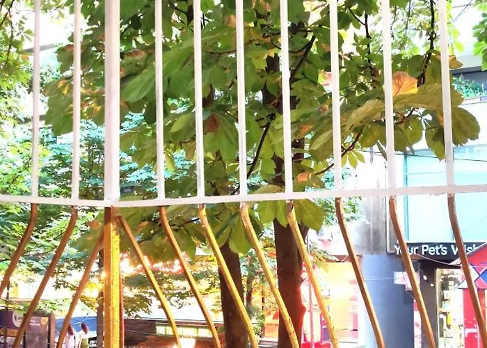 Disney's Slumber Party * Тирана